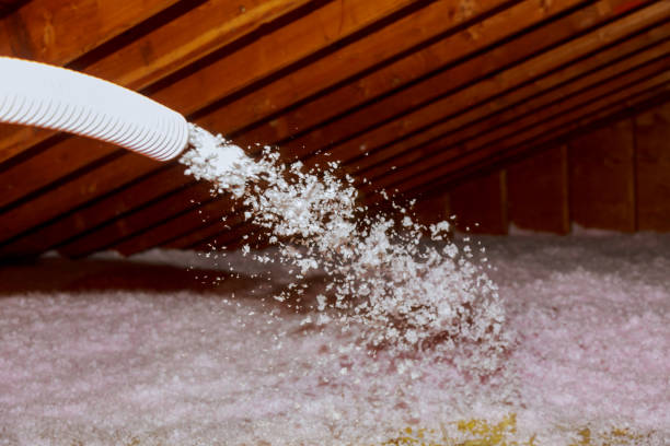 Best DIY Insulation Kits and Guidance in Mebane, NC