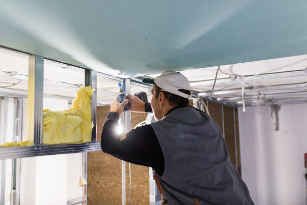 Best Commercial Insulation in Mebane, NC