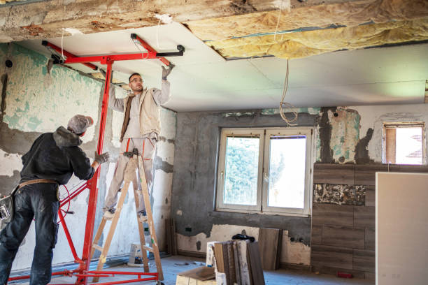 Best Cellulose Insulation in Mebane, NC